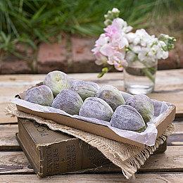 SE展示《Deep Insanity Asylum》新预告片和截图